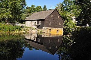 FENNER-SNYDER MILL, MONROE COUNTY