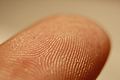 Fingerprint detail on male finger in Třebíč, Třebíč District