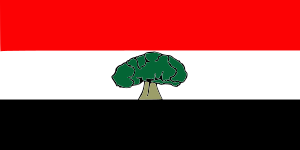 Flag of the Oromia Region