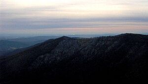 Frozen-head-indian-knob-tn1