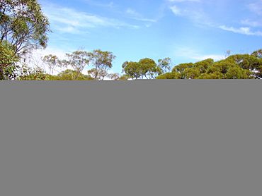 Gluepot Reserve, South Australia.JPG