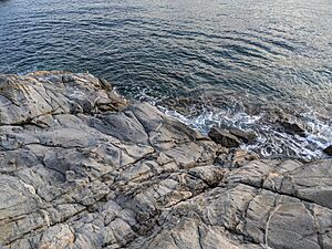Granodiorite - Roses - Catalonia