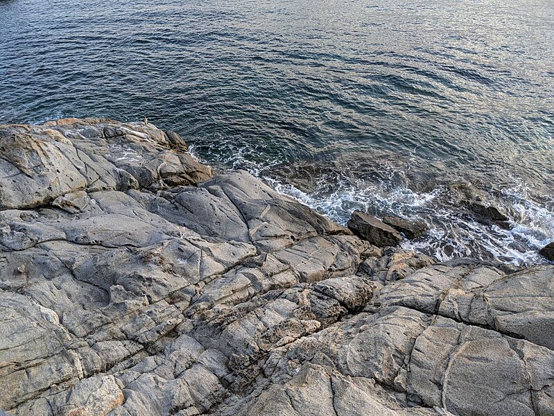 Granodiorite - Roses - Catalonia