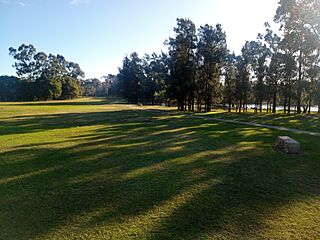 Grass Werrington lake reserve - 2022 Sydney