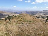 Grassland on Imba Abba Salama