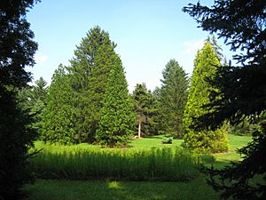 Graver Arboretum - 358