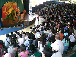 HK Ocean Park Audience