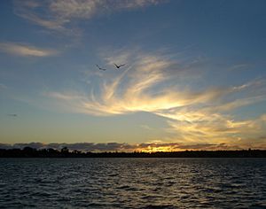 Hauraki Gulf Sunset With Birds