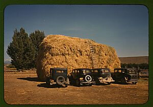 Hay stack and automobile of peach pickers, Delta County, Colorado LCCN2017877613