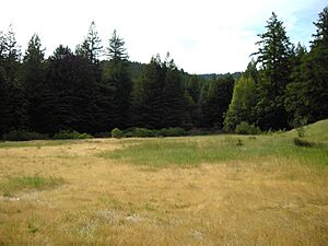 Humboldtmeadow