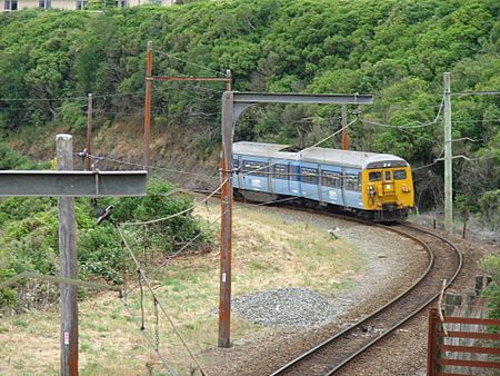 A southbound DM class EMU just south of Raroa Railway Station on the Johnsonville Line in 2007. The last of the DM class EMUs was withdrawn from the line in February 2012.