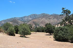 Junipero Serra Peak, California