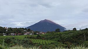 Kerinci mountain
