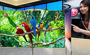 LG전자, 깜빡임 없는 55인치 3D OLED TV 공개(2)