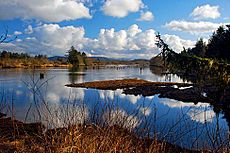 Lewis and Clark River (Clatsop County, Oregon scenic images) (clatDA0094)
