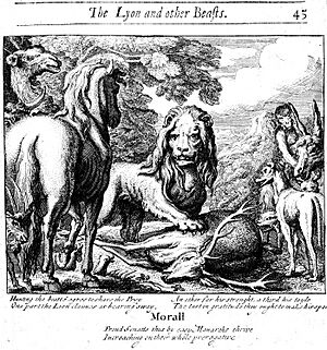 Lion's Share Barlow