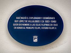 Málaga hace historia, Ruy López de Villalobos 01
