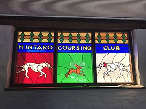 Mintaro Coursing Club