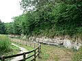North end of quarry, Quarry Moor, Ripon - geograph.org.uk - 199838