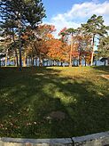 Oswego Fall 2016