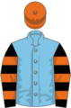Owner R Stan Riley