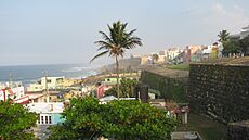 Palm tree in La Perla district of Old San Juan, Puerto Rico