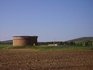 Palomar en Quintanilla de Onsoña