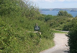 Penlee Battery Nature Reserve - geograph.org.uk - 36857