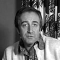 Peter Sellers 1973 by Allan Warren 2