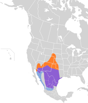 Peucaea cassinii map.svg