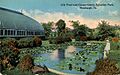 Phipps Conservatory Aquatic Gardens 1915