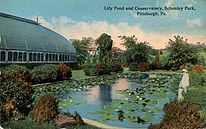 Phipps Conservatory Aquatic Gardens 1915