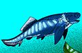 Pinguosteus thulborni