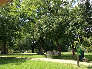 Poindexter Park Histoic District (3)