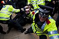 Police effect an arrest against a protester whilst a police inspector brandishes his baton