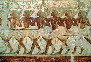 Relief of Hatshepsut's expedition to the Land of Punt by Σταύρος