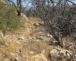 Robinson Mesa Hanging Canal