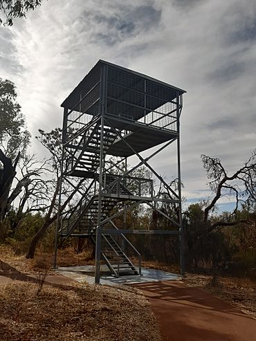 Rodger Hamilton Wildflower Reserve lookout tower, March 2020.jpg