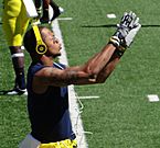 Roy Roundtree (Michigan wide receiver)