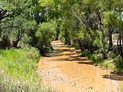 San Pedro RNCA - Fairbanks AZ 2018-07-21 12-04-57 (41979141630)