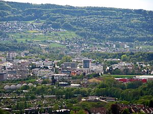 Schlieren-Dietikon - Käferberg IMG 2368