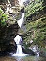 St Nectan's Glen - geograph.org.uk - 596320