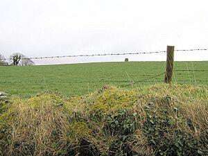 Standing stone at Freughlough - geograph.org.uk - 137380