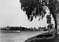StateLibQld 1 117580 View of East Brisbane from New Farm Park, ca. 1930