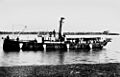 StateLibQld 1 158982 Miner (ship)