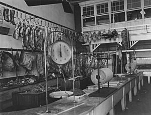 StateLibQld 1 79099 Interior view of a butcher shop established in Roma Street, Brisbane, ca. 1917