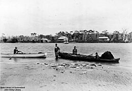 StateLibQld 1 91264 Haul of fish on the beach at Maroochydore, Queensland, 1907