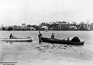 StateLibQld 1 91264 Haul of fish on the beach at Maroochydore, Queensland, 1907