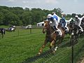 Steeplechase at Winterthur Point to Point