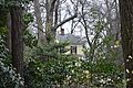 Stonefield in Charlottesville, through trees